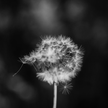 dawid-zawila-duADlJvRI7Y-unsplash