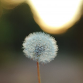 jean-pierre-brungs-4brY6pFNZMg-unsplash