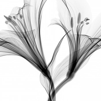 mathew-schwartz-3SWQCLmxH1U-unsplash