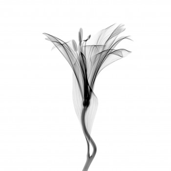 mathew-schwartz-UcM9pRYo0ek-unsplash