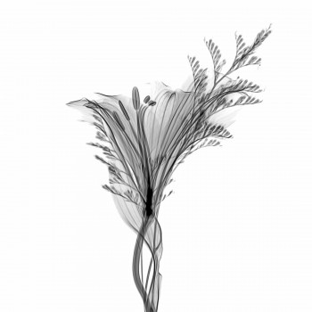 mathew-schwartz-WGYpgZFRSWY-unsplash